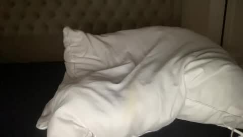 Snapshot of qlf0506 chatting on 11.12.25 qlf0506 online show from 11.12.25