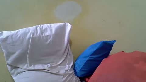 Gentrix online show from 02.23.26