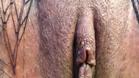 Quickie online show from 04.29.26