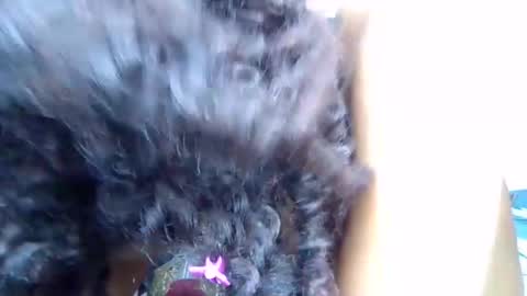 Quincy online show from 03.28.26