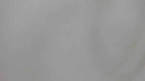 Snapshot of raf__koons chatting on 07.22.26 Raf Koons online show from 07.22.26