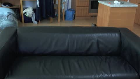 rafaelosteel online show from 11.05.25