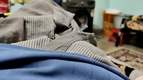 Raghav online show from 12.01.25