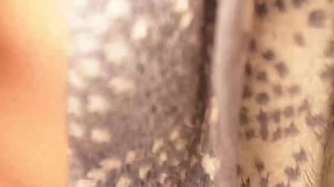 Rami online show from 02.17.25