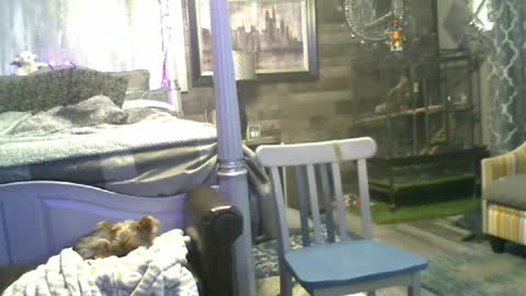 Randy8inbater online show from 06.15.26