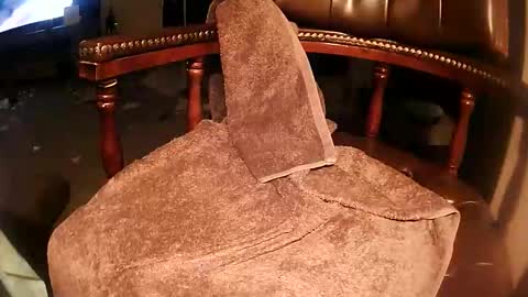 rarvet online show from 03.19.26