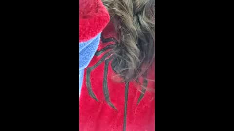   online show from 05.31.26