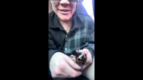 Raven Ray online show from 02.09.26