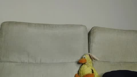 Ray  online show from 04.05.26