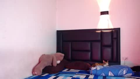 Snapshot of raydevil_ chatting on 10.17.25 Rayn online show from 10.17.25