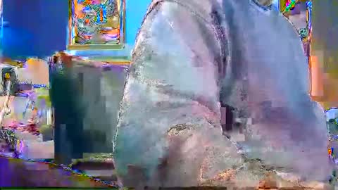 Snapshot of rb69er905364 chatting on 12.28.24 rb69er905364 online show from 12.28.24