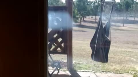 ready4aride2day online show from 02.18.26