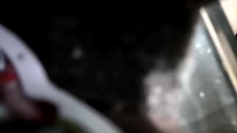 reba21 online show from 02.01.26