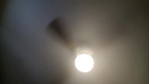 red24devils online show from 01.13.25