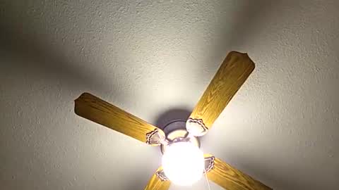 red24devils online show from 02.02.26