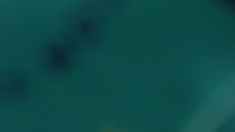 Lupe online show from 02.20.25