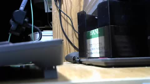 redneck1956 online show from 11.18.25