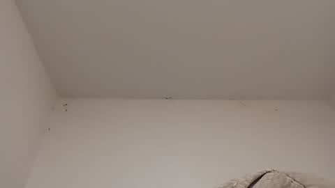 rednicedick online show from 01.22.25