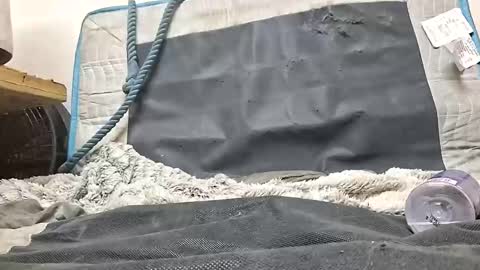 rednicedick online show from 10.16.25