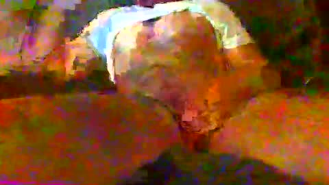 redtxchopper online show from 11.18.25