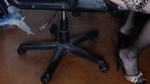 Snapshot of regnerfsky chatting on 01.26.25 RegNerfsky online show from 01.26.25