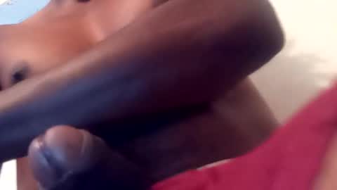 reinft online show from 03.17.26