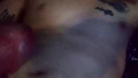 Reise online show from 03.13.26