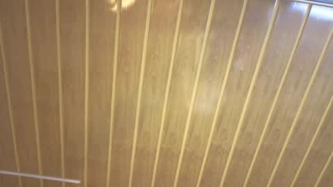 renaxi_smith online show from 02.22.26