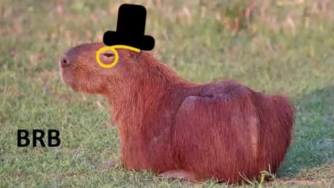 Chris online show from 11.15.25