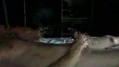 Rick online show from 08.02.26