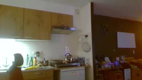 rikkerd55 online show from 01.11.26