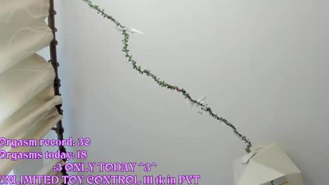 Snapshot of rileynymph chatting on 05.21.26 My name is Riley Like my broadcast pls 3 online show from 05.21.26