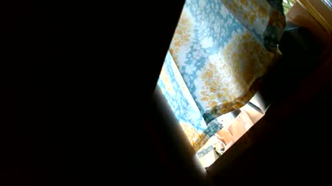 Snapshot of riskyjizznessss chatting on 12.31.24 riskyjizznessss online show from 12.31.24