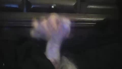 Snapshot of rlpl chatting on 02.23.26 rlpl online show from 02.23.26