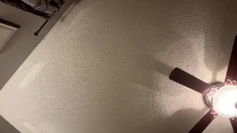 BwC4Breed online show from 01.21.25