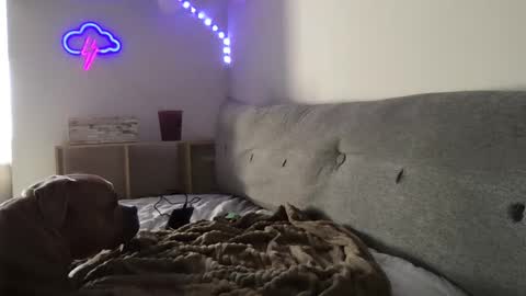 RoastingCorn online show from 01.03.25