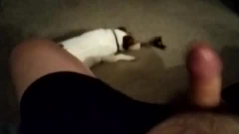 Snapshot of robbiebob6828 chatting on 11.27.25 robbiebob6828 online show from 11.27.25