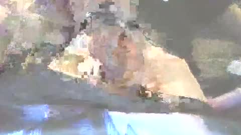 robertharley online show from 12.02.25
