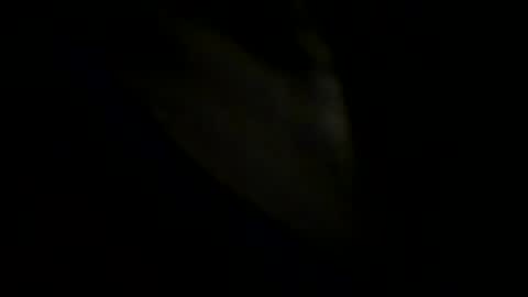 Snapshot of robertsmethurst chatting on 05.31.26 Johnny online show from 05.31.26