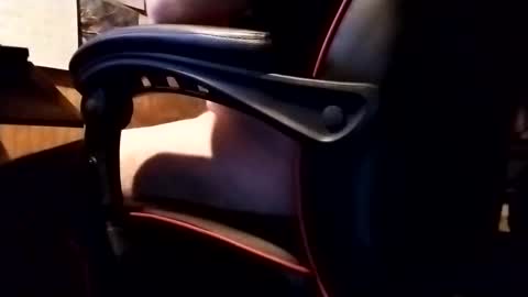 Robo Nuts online show from 11.20.25