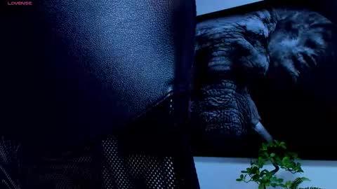 Snapshot of roccosaints_1 chatting on 02.25.26 santos online show from 02.25.26