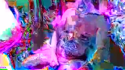 rocky082288 online show from 12.08.24