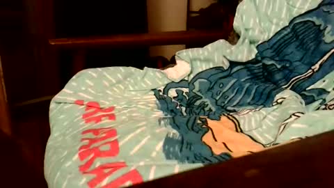 Snapshot of rogerrush chatting on 11.15.25 rogerrush online show from 11.15.25