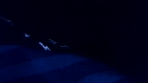 romain online show from 03.03.26