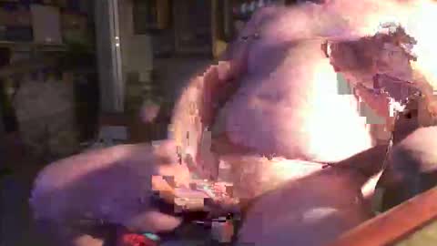 ronnybeee online show from 03.20.26