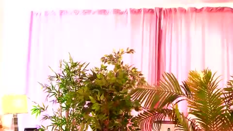 Snapshot of rosaliefleur chatting on 07.27.26 Rosa online show from 07.27.26