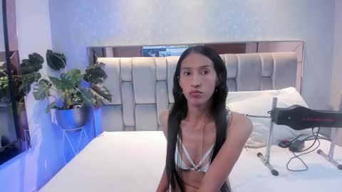 Rose online show from 11.04.25