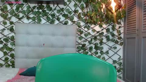 Snapshot of rous_55 chatting on 12.27.24 Rous online show from 12.27.24