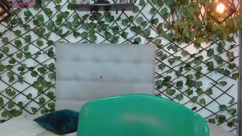 Snapshot of rous_55 chatting on 01.13.25 Rous online show from 01.13.25