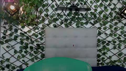 Snapshot of rous_55 chatting on 02.08.25 Rous online show from 02.08.25